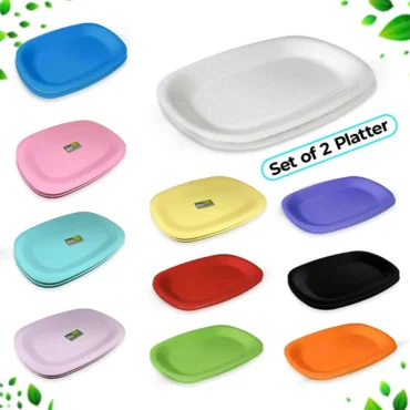 Set Of 2 Plastic Serving Platter for Picnic Parties Heavy Duty Unbreakable Dish